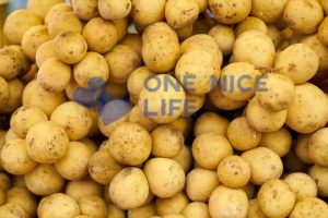 Everything You Need to Know About Potato