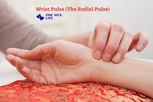 Training to measure the pulse of the hand correctly