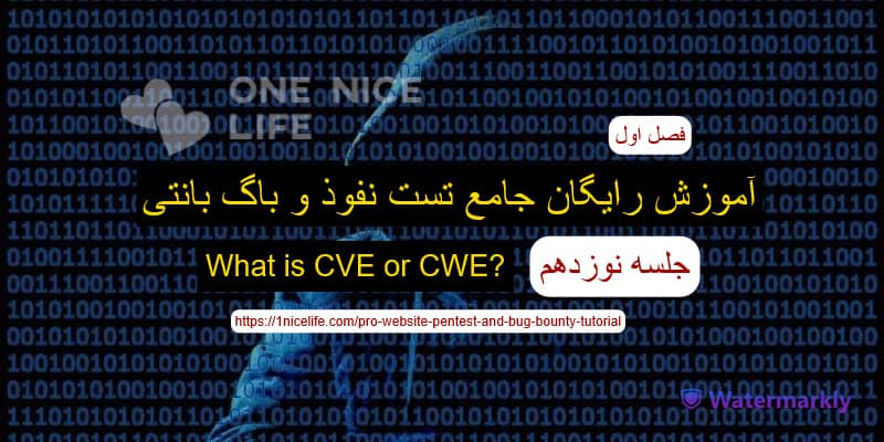 آموزش رایگان تست نفوذ و باگ بانتی حرفه ای ، جلسه نوزدهم: What is CVE or CWE